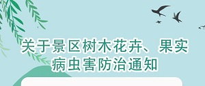 关于景区树木花卉、果实病虫害防治通知