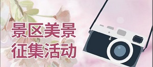 景区美景征集活动