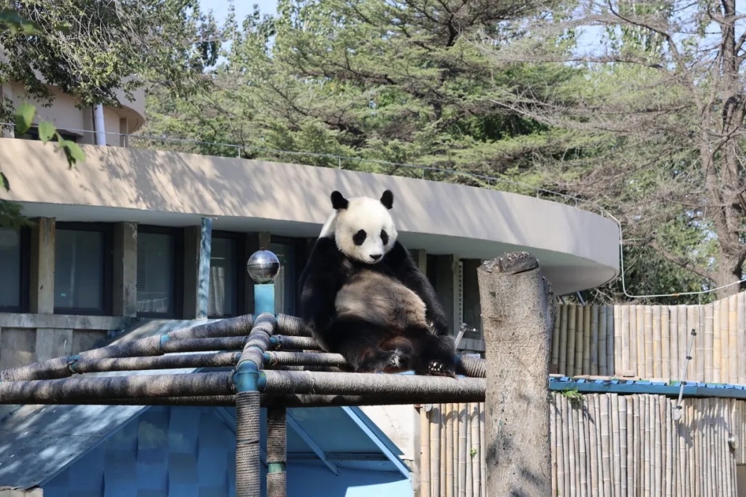 1761198323910916.jpg 1761198323910916.jpg