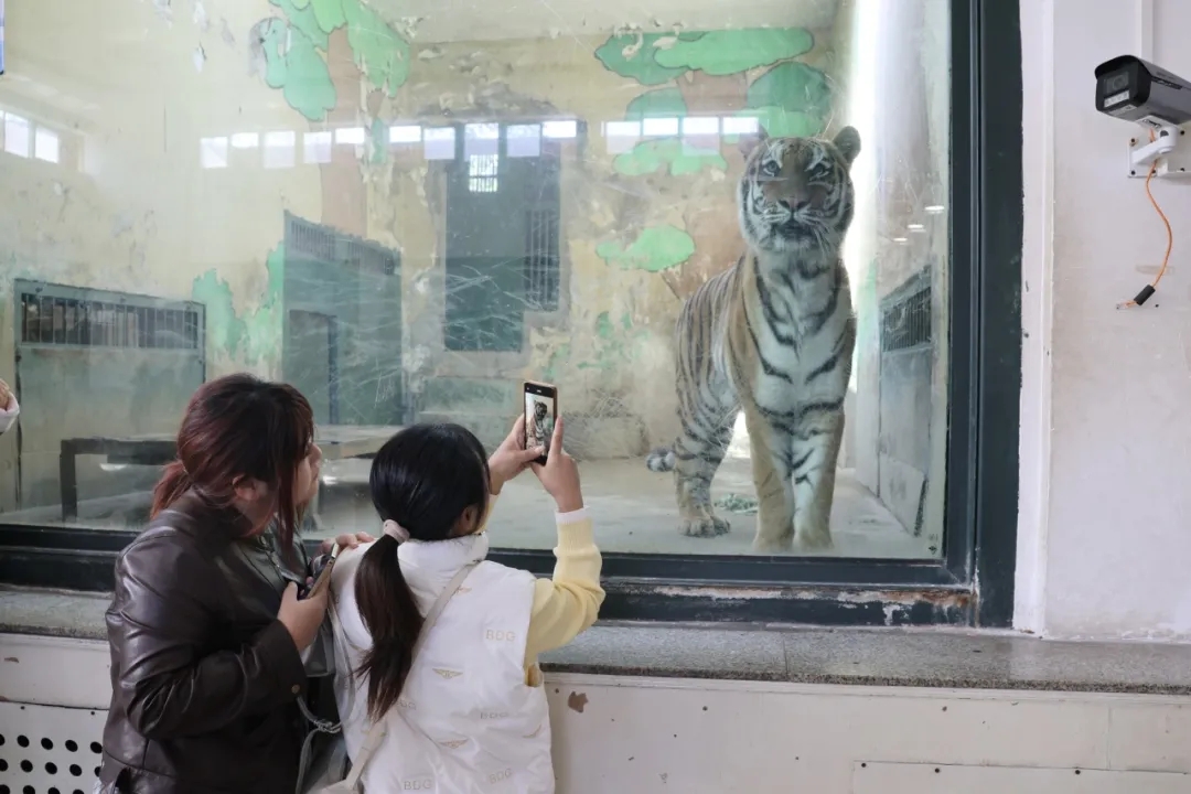 1761198350732669.jpg 1761198350732669.jpg